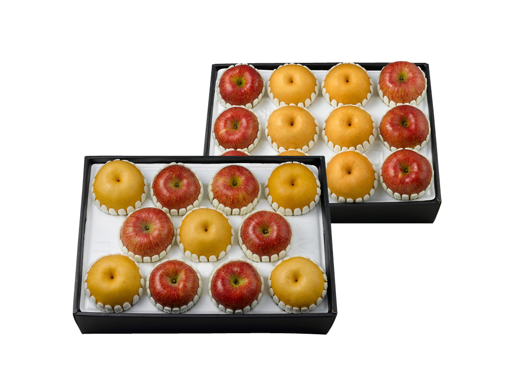 GAP 사과 배 세트 선(善)