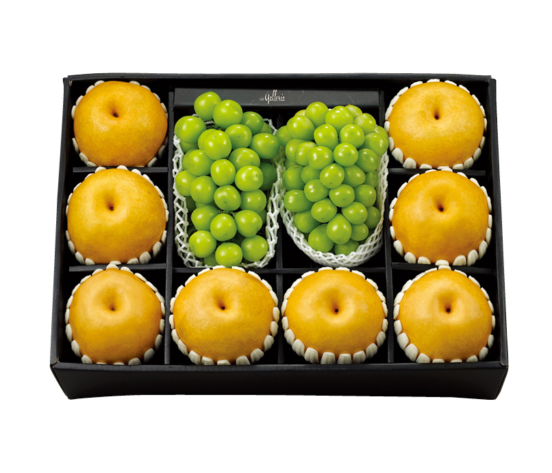 저탄소 배 세트