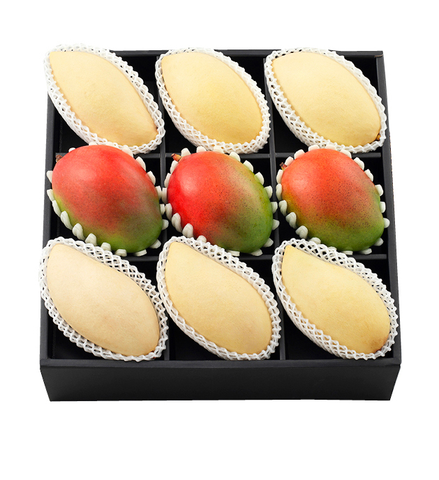 애플망고 로얄망고 세트 진(眞)