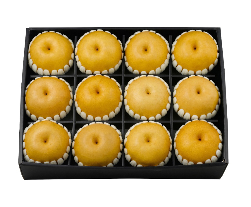 배 세트 선(善)