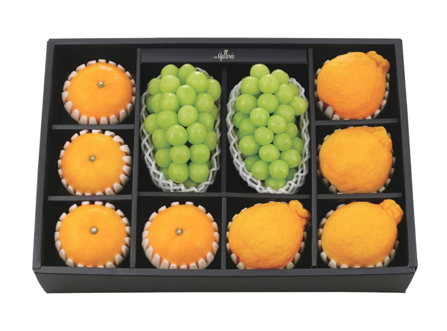 GAP 샤인머스캣 혼합 세트 진(眞)