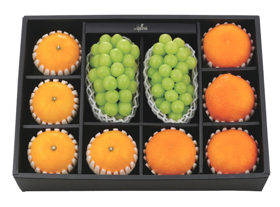 GAP 샤인머스캣 혼합 세트 미(美)