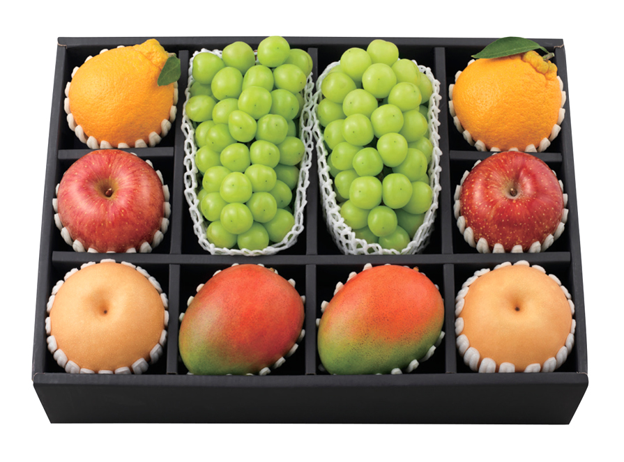 프리미엄 혼합 세트 진(眞)