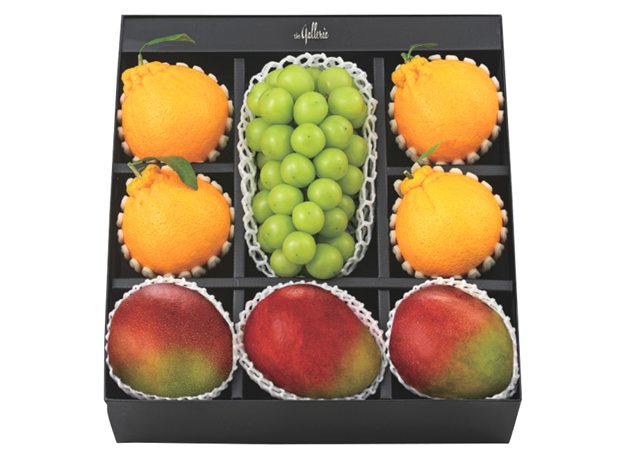 한라봉 혼합 세트 진(眞)