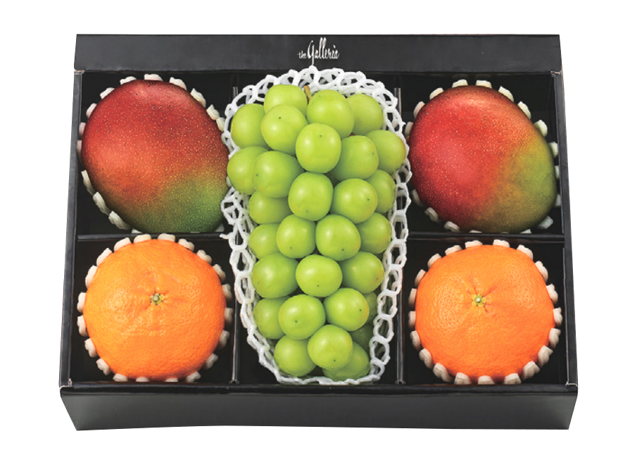 레드향 혼합 세트 선(善)