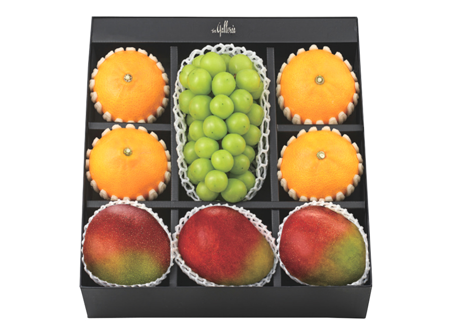 레드향 혼합 세트 선(善)