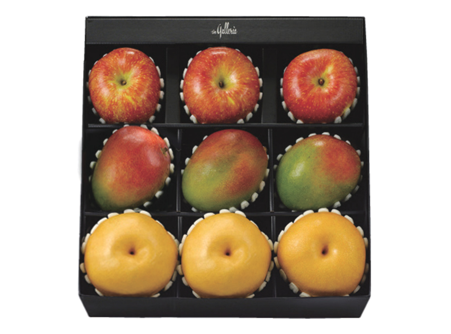 애플망고 사과 배 세트 선(善)