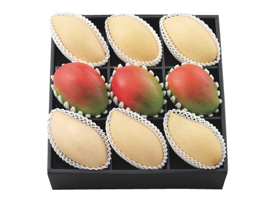 애플망고 로얄망고 세트 진(眞)