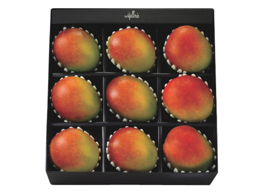 애플망고 로얄망고 세트 진(眞)