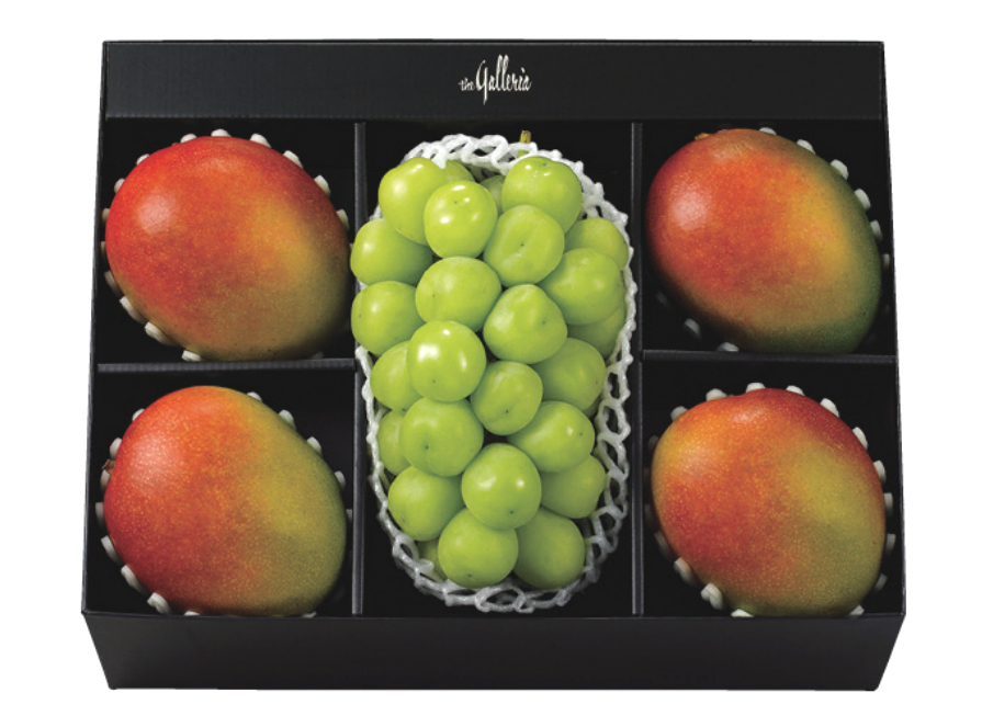 샤인머스캣 애플망고 세트 선(善)