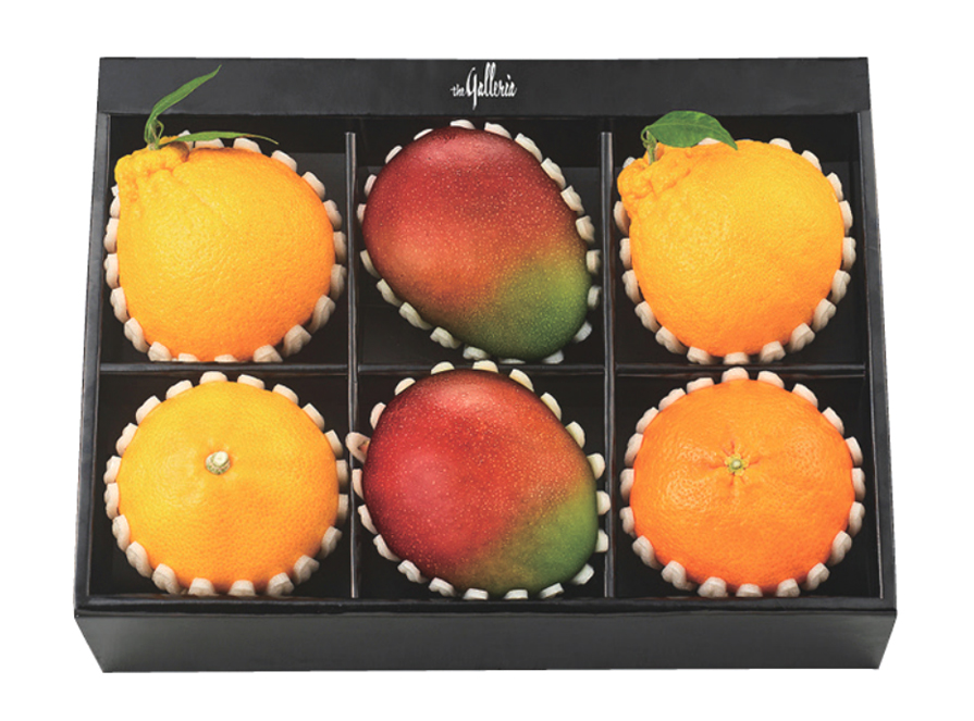 제주 과일 & 애플망고 세트 미(美)