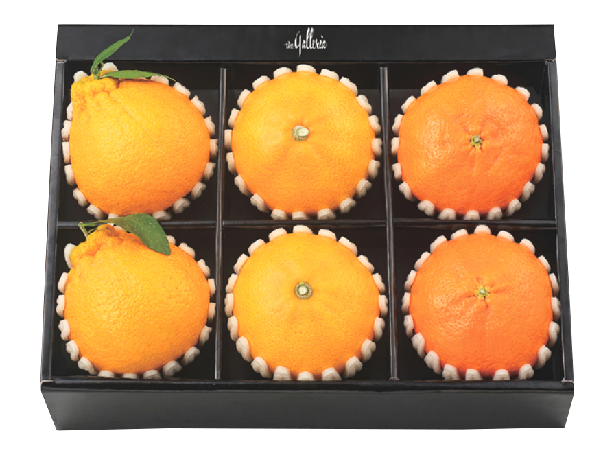 제주 과일 혼합 세트 미(美)