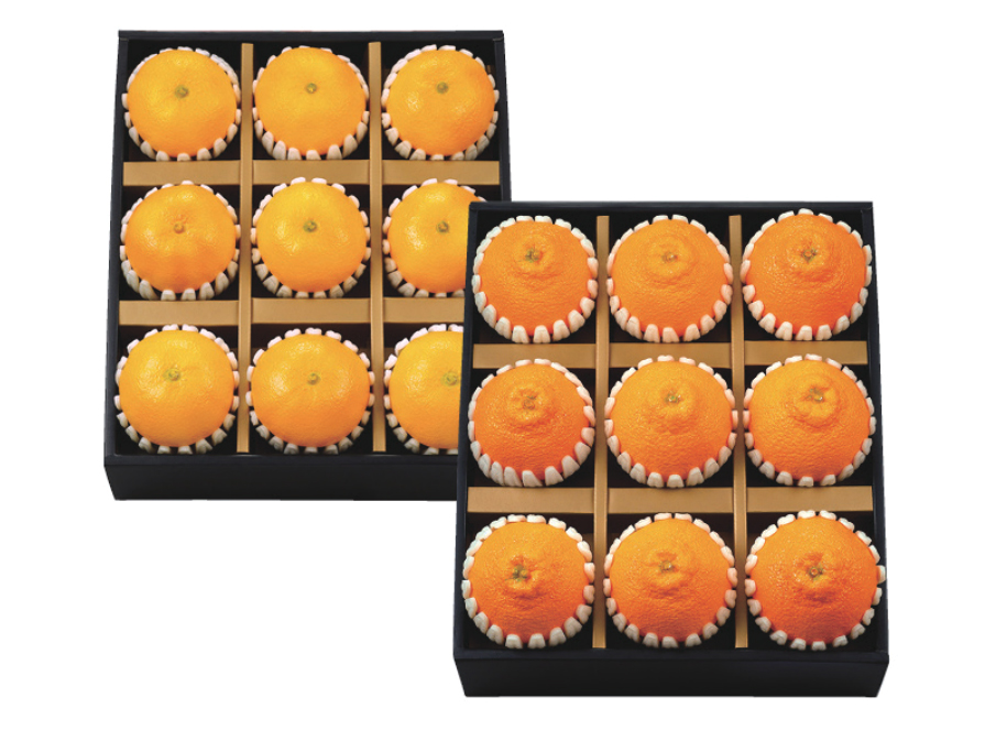 천애금수 소담 한라봉 세트