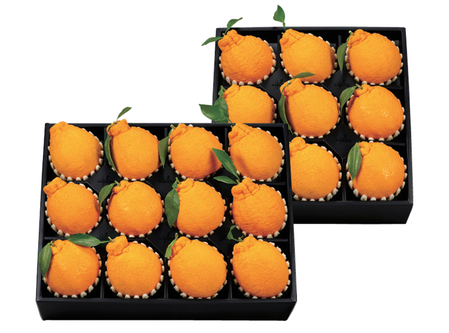 한라봉 세트 진(眞)