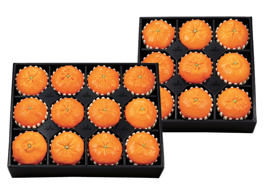 레드향 세트 진(眞)