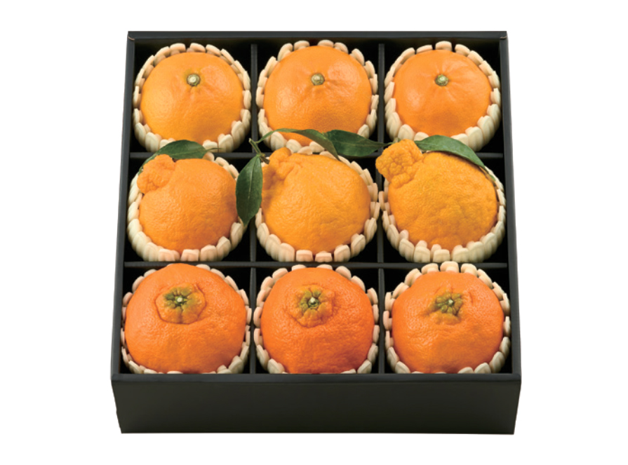 GAP 만감류 혼합 세트