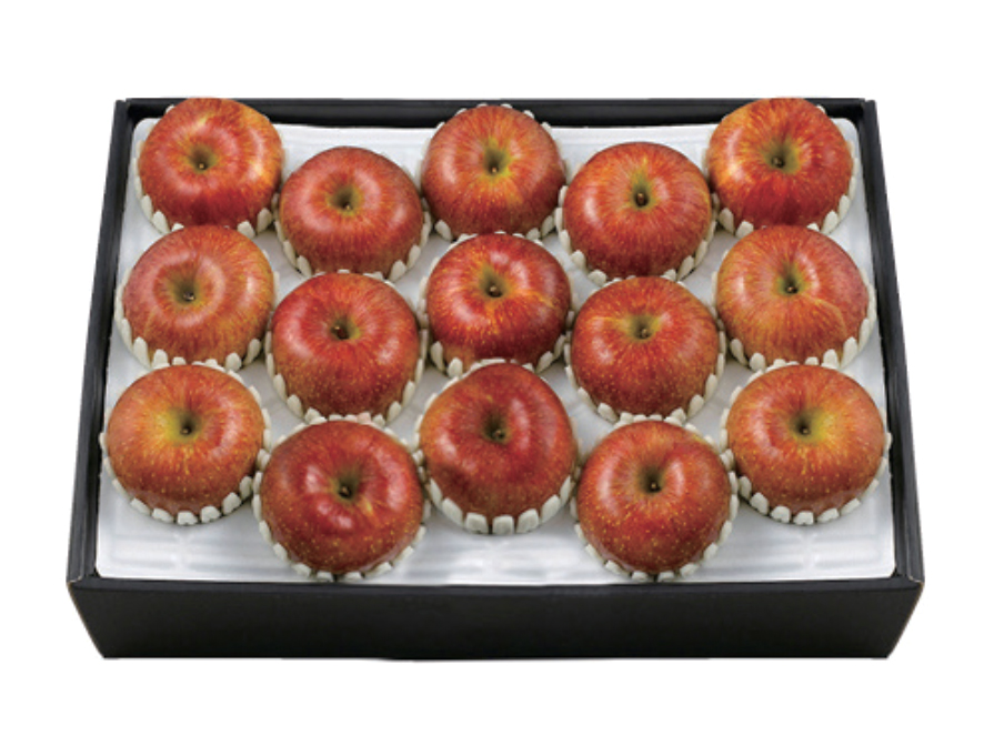 GAP 사과 세트 미(美)