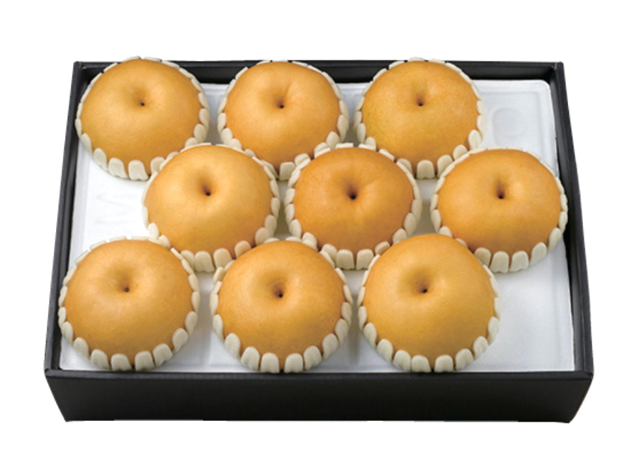 GAP 배 세트 선(善)