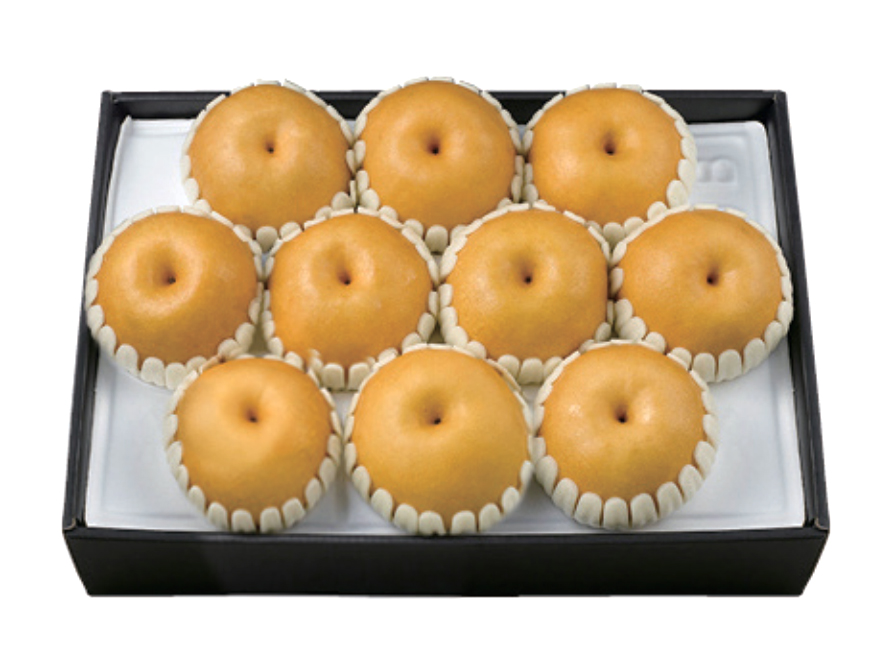 GAP 배 세트 미(美)