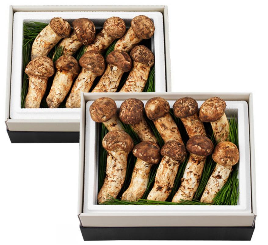 자연송이버섯 세트 진(眞)