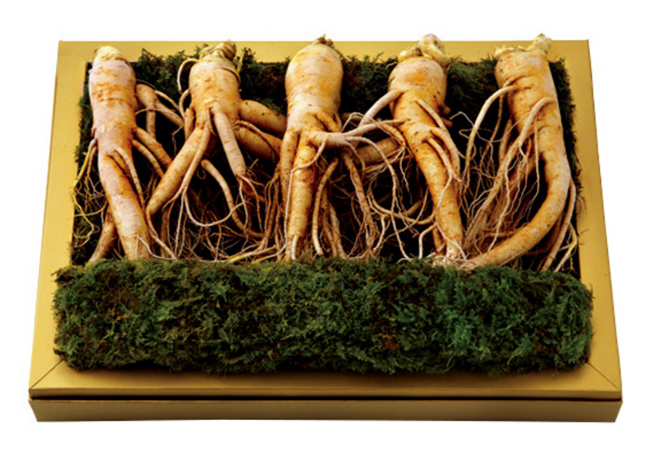 명품 수삼 세트