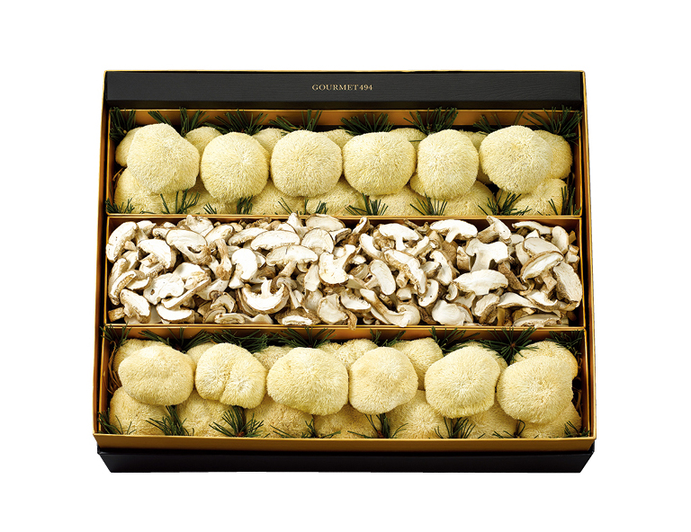 프리미엄 송의향고 노루궁뎅이 버섯 세트 진(眞)