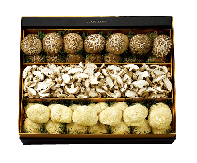 프리미엄 송의향고 노루궁뎅이 버섯 세트 선(善)