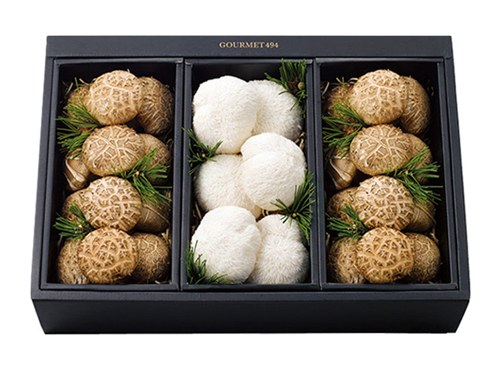 송의향고 노루궁뎅이 버섯세트 진(眞)