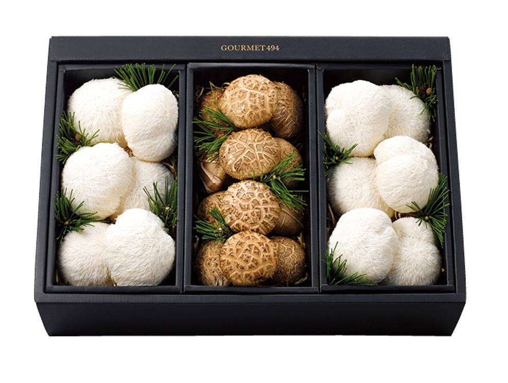 송의향고 노루궁뎅이 버섯
세트 선(善)