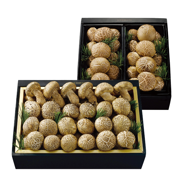 송의향고 특선세트