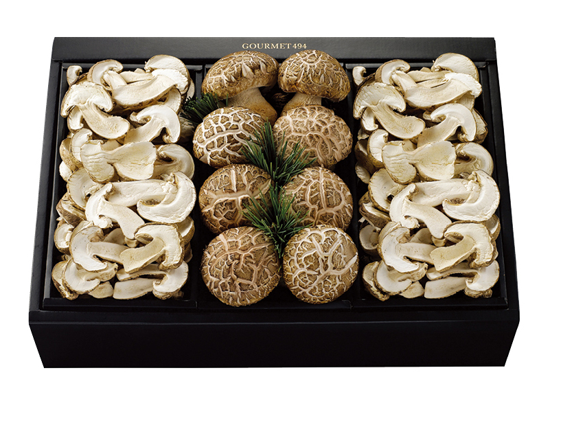 송의향고 특품 세트 진(眞)