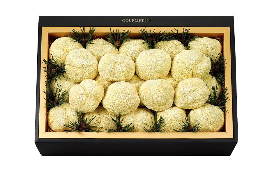 건 노루궁뎅이 버섯 세트