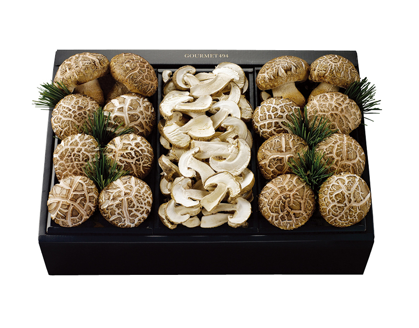 송의향고 특품 세트 선(善)