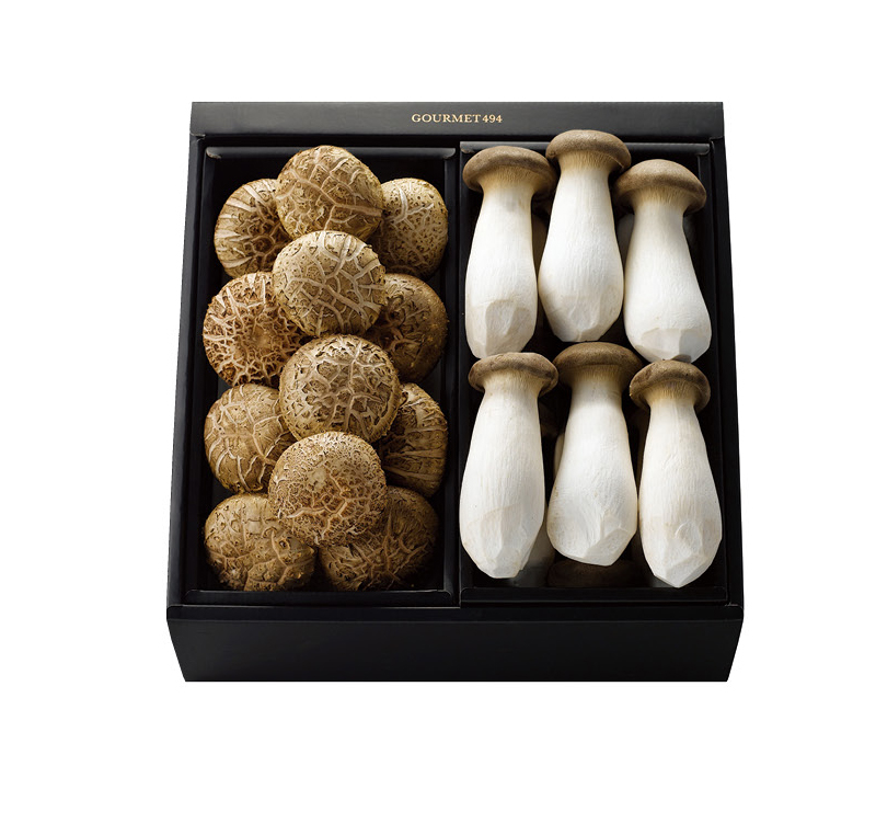 표고 / 새송이버섯 세트(S)