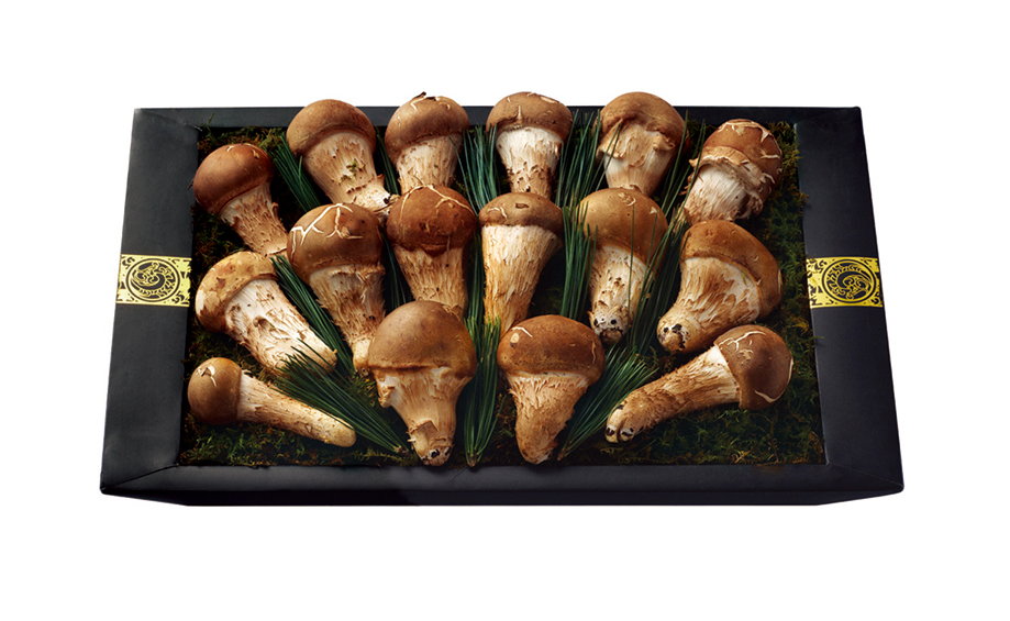 참송이버섯 세트