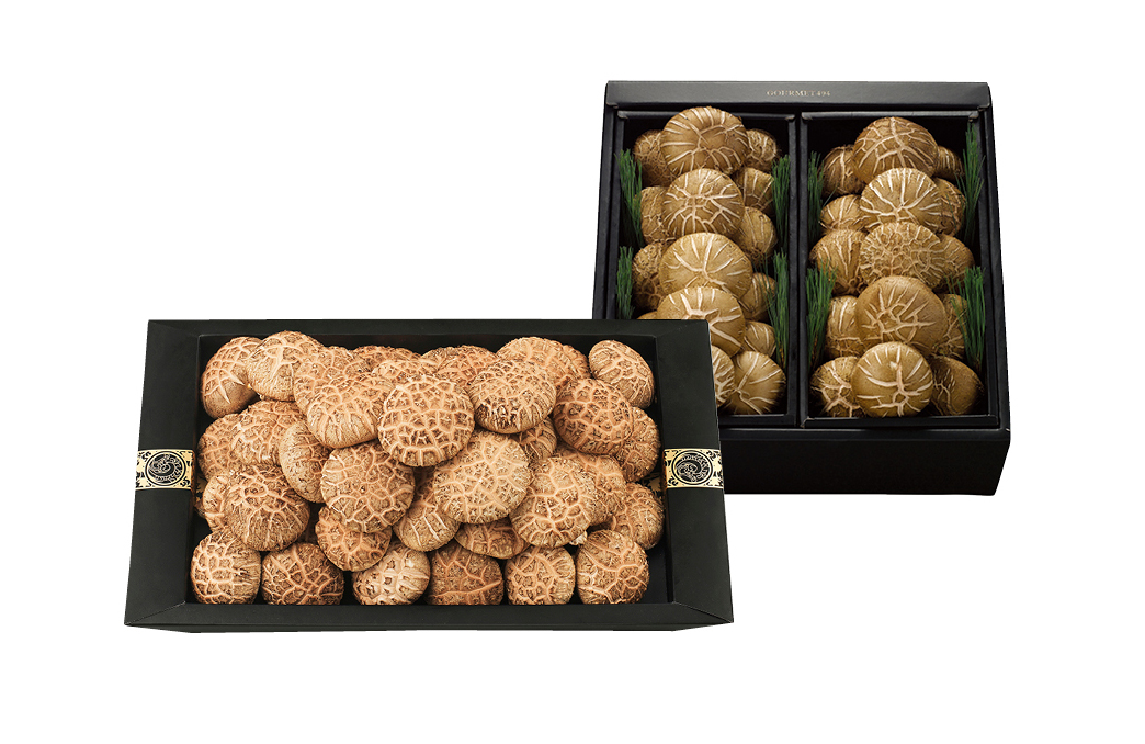 生 표고버섯 세트 진(眞)