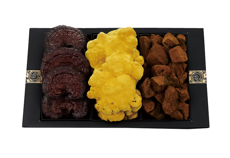 건강버섯 세트 진(眞)