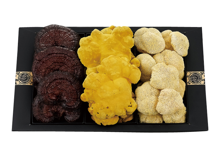 건강버섯 세트 선(善)