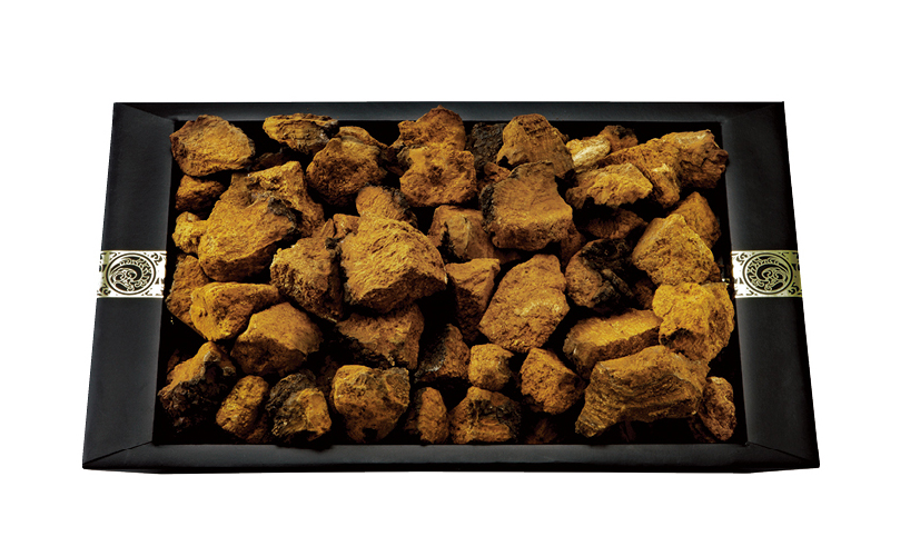 차가버섯 세트 진(眞)