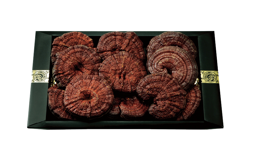 영지 버섯 세트