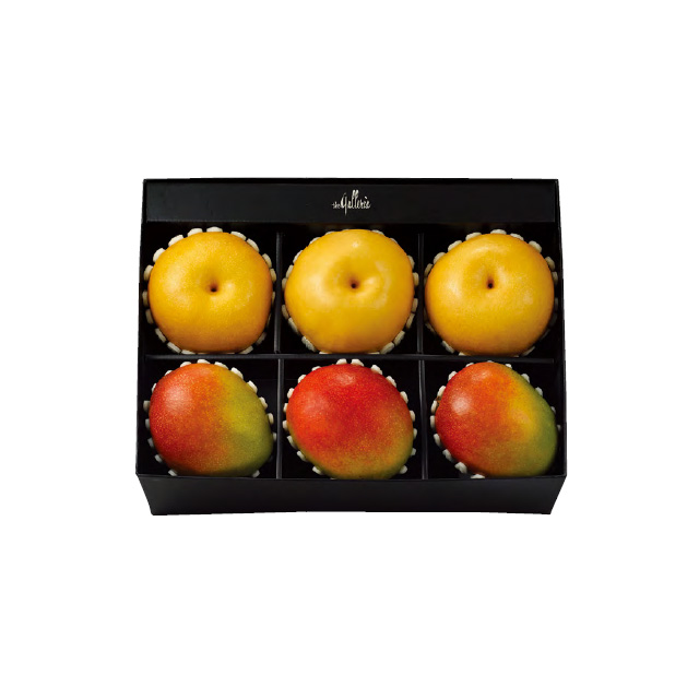 애플망고 배 세트